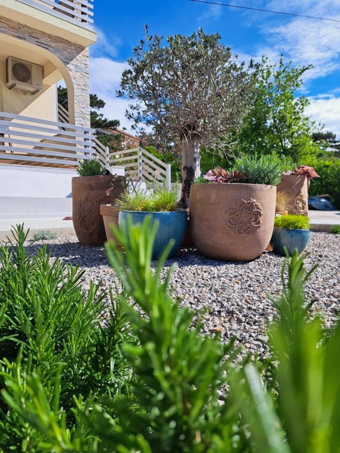 Vila Aria - Health & Wellness App Novi Vinodolski Kültér fotó